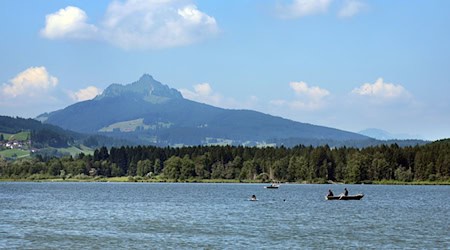 Die Badegewässer in Bayern haben einer EU-Behörde zufolge fast durchweg eine ausgezeichnete Wasserqualität. Lediglich einer der getesteten Seen fiel mit einem mangelhaften Wert an einer Messstelle auf: der Grüntensee bei Wertach im Allgäu. Die Auswertung bezieht sich auf das Jahr 2024. / Foto: Karl-Josef Hildenbrand/dpa