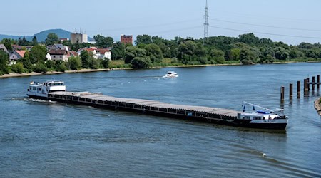 Wird der erneute Bergungsversuch am Montag klappen? Bislang scheiterten die Einsatzkräfte. / Foto: Armin Weigel/dpa