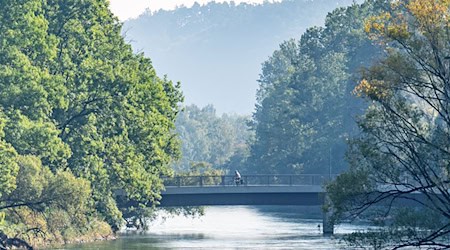 In der Isar bei Landhut wurde die Fischart erfolgreich ausgesetzt. (Archivbild)   / Foto: Armin Weigel/dpa