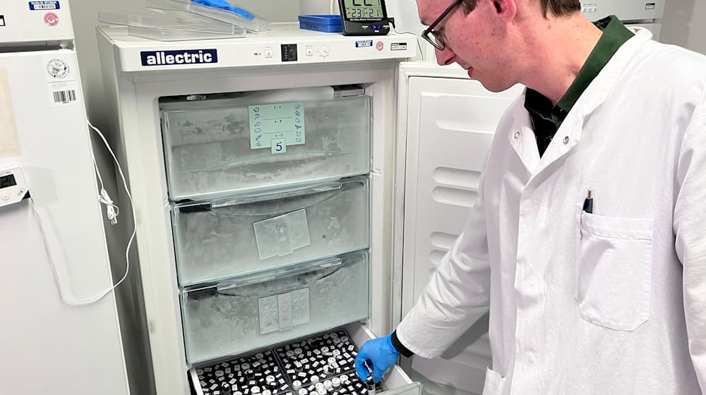Pestiziduntersuchungen bei Obst und Gemüse zeigen: Die Lebensmittel sind hinsichtlich Rückständen von Pflanzenschutzmitteln sicher - besonders Bio-Produkte. / Foto: Michael Donhauser/dpa