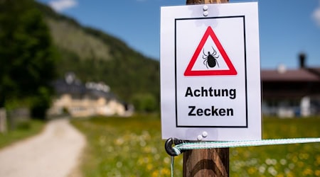 Mehr Zecken nach mildem Winter?