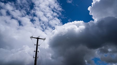 Die Sonne hält in den kommenden Tagen Einzug, Regen ist nur an wenigen Orten wahrscheinlich. (Symbolbild)  / Foto: Nicolas Armer/dpa