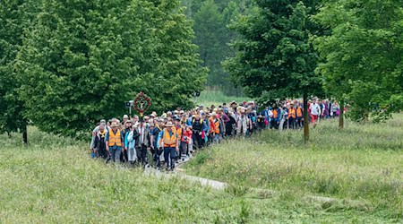 Die Regensburger Fußwallfahrt nach Altötting hatte in diesem Jahr nach Veranstalterangaben einen großen Teilnehmer-Zuwachs. / Foto: Armin Weigel/dpa
