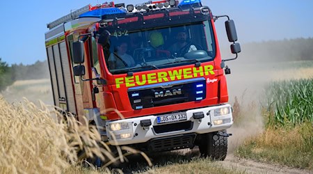 Die Feuerwehr ist zu einem Großeinsatz wegen eines Waldbrandes ausgerückt. (Symbolbild) / Foto: Patrick Pleul/dpa