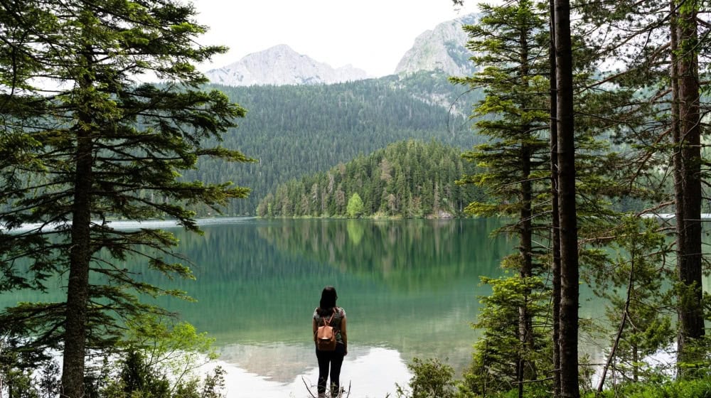 Natur als Rückzugsort: Immer mehr Reisende suchen Ursprünglichkeit. / Foto: wirestock auf freepik.com