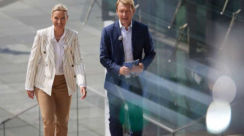 Das am Sonntagnachmittag live im Internet übertragene Interview mit Weidel wurde im Berliner Regierungsviertel an der Spree unter freiem Himmel geführt. / Foto: Joerg Carstensen/dpa