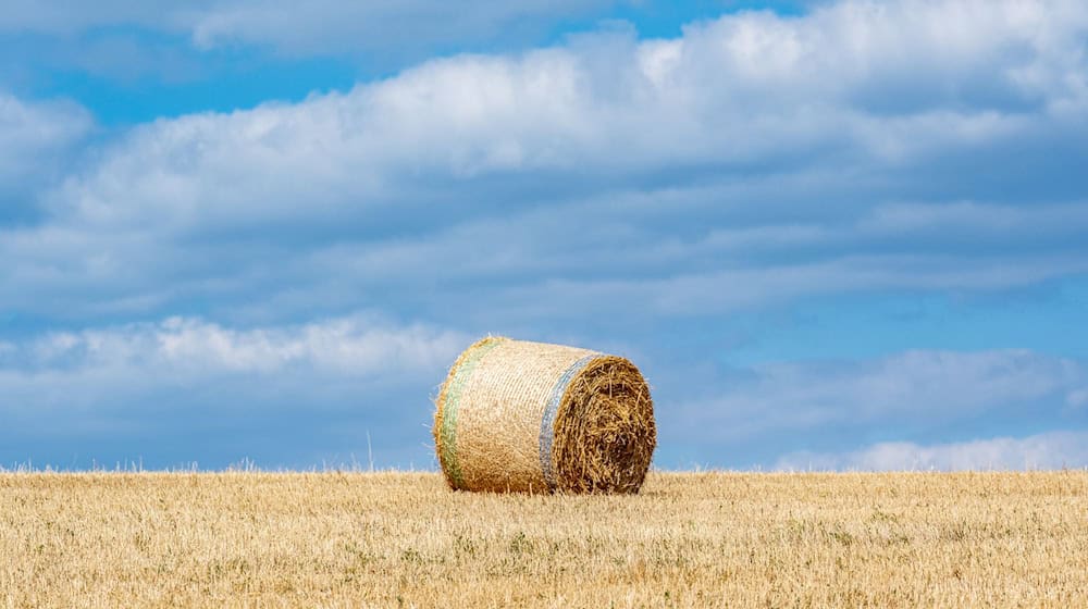 Der entstandene Schaden an der Maschine und am Feld ist groß. (Symbolbild) / Foto: Armin Weigel/dpa