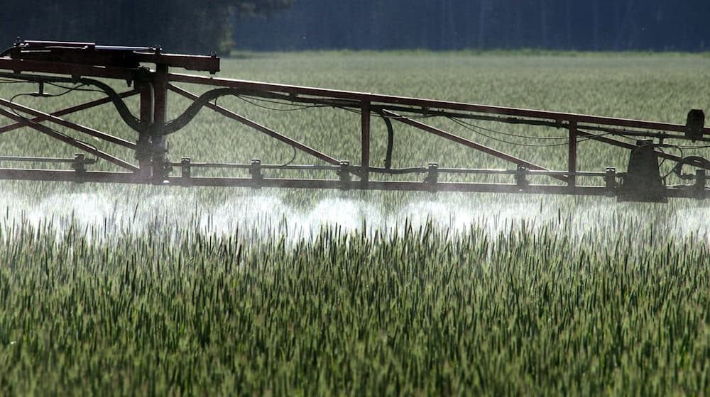 Der Einsatz von Chemikalien ist in der Landwirtschaft schon lange umstritten. Er schadet vielen Tierarten und ist auch für Menschen gesundheitsschädlich. (Symbolbild) / Foto: Peter Förster/dpa