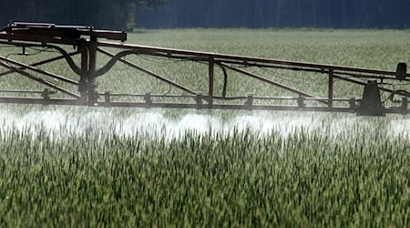 Der Einsatz von Chemikalien ist in der Landwirtschaft schon lange umstritten. Er schadet vielen Tierarten und ist auch für Menschen gesundheitsschädlich. (Symbolbild) / Foto: Peter Förster/dpa
