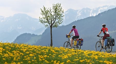 Die Art der Fahrradunfälle in den Bergen hat sich mit dem E-Bike verändert. (Symbolbild) / Foto: picture alliance / dpa