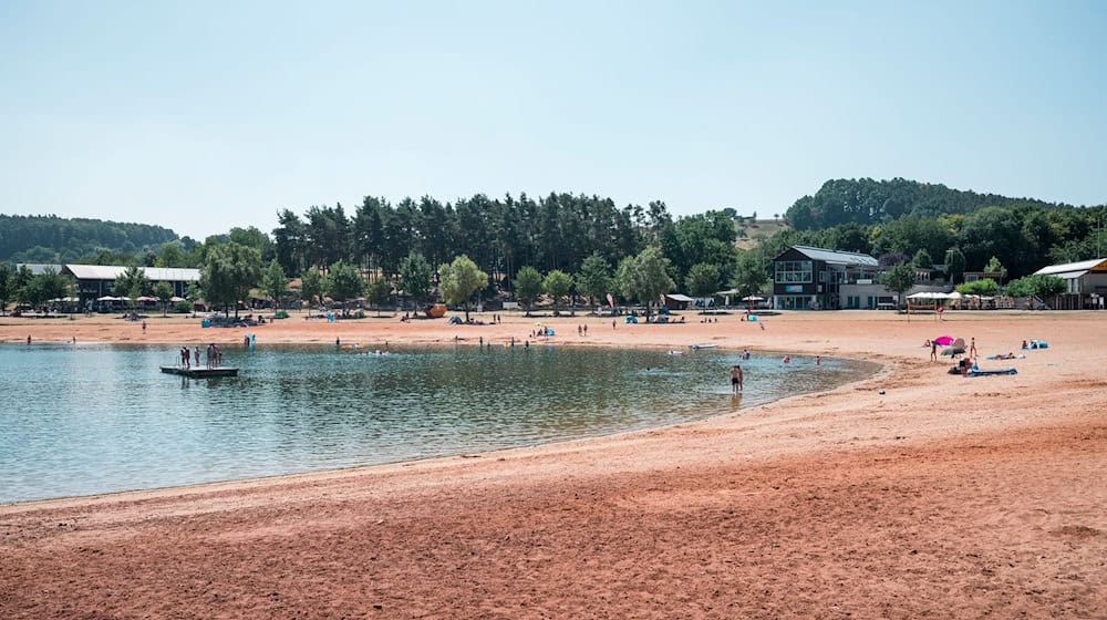 Erneut greift ein Wels einen Schwimmer in der Region an. (Symbolbild) / Foto: Daniel Vogl/dpa