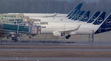 Maschinen der Lufthansa am Münchner Flughafen. Der Flugverkehr wächst trotz weltweit eher schwacher Konjunktur, Krisen und Konflikten (Archiv) / Foto: Peter Kneffel/dpa