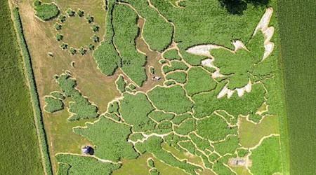 Irrgarten mit Friedenstaube und Europakarte