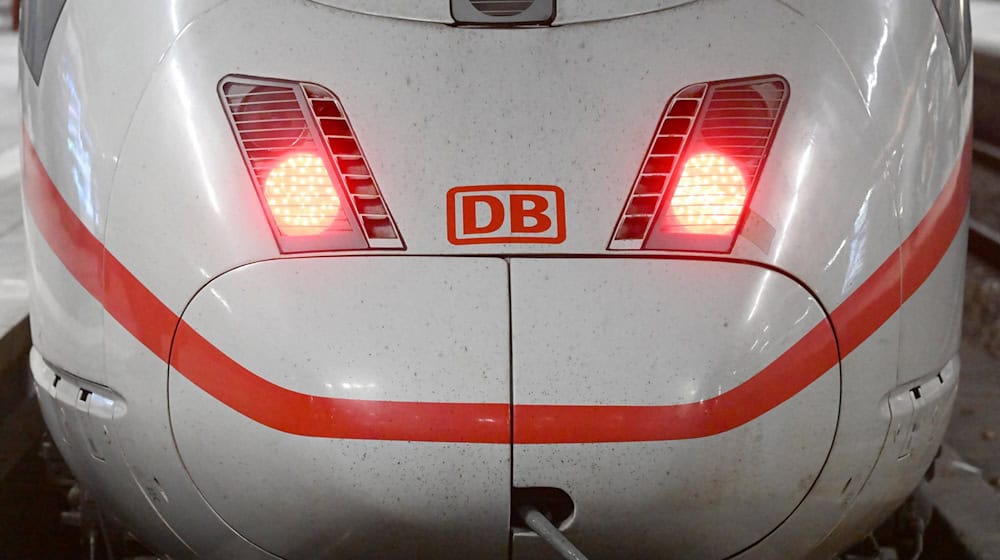 Die Jugendlichen sollen in mehreren Fällen auf Zügen mitgefahren sein - zum Teil bei Geschwindigkeiten von bis zu 280 Kilometer pro Stunde. (Symbolfoto)  / Foto: Felix Hörhager/dpa