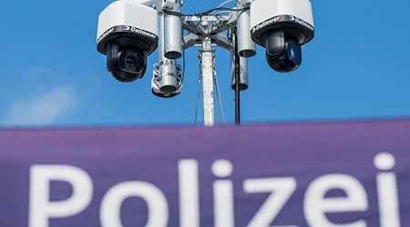 Die Türme ragen bis zu sechs Meter hoch in den Himmel. / Foto: Peter Kneffel/dpa