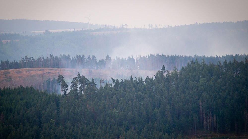 Der Rauch eines großen Waldbrands im Süden von Thüringen zieht auch nach Bayern. / Foto: Jacob Schröter/dpa