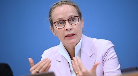 So mancher in der Union meint, Frauke Brosius-Gersdorf sollte auf ihre Kandidatur verzichten. (Archivbild)  / Foto: Britta Pedersen/dpa