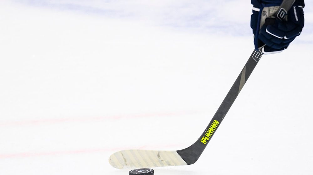 Die Straubing Tigers haben einen neuen Spieler. / Foto: Tom Weller/dpa