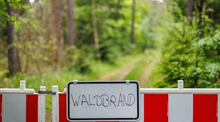 Die Waldbrandgefahr in Bayern ist hoch. (Symbolbild) / Foto: Daniel Karmann/dpa