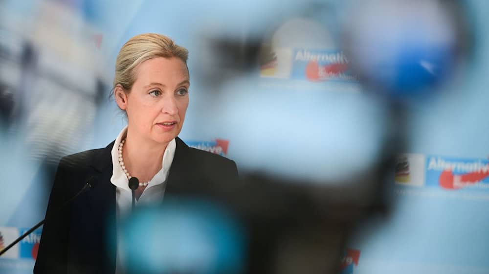 AfD-Chefin Alice Weidel / Foto: Sebastian Christoph Gollnow/dpa