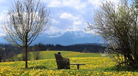 Saftige Wiesen, imposante Berge – mitunter zeigt sich Bayern wie aus dem Bilderbuch. (Archivbild) / Foto: Karl-Josef Hildenbrand/dpa