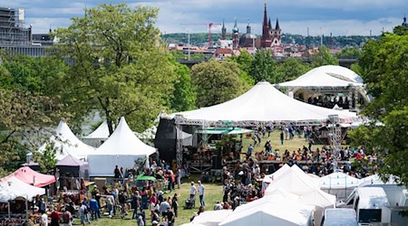 Aus Geldgründen findet das Africa Festival künftig nicht mehr auf den Mainwiesen statt. (Archivbild) / Foto: Nicolas Armer/dpa