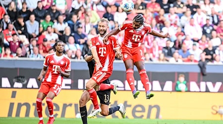 Serge Gnarby traf per Kopf zum 1:0 für den FC Bayern. / Foto: Harry Langer/dpa