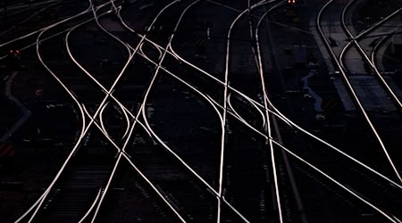 Bei der Einfahrt lief einiges schief. (Symbolbild) / Foto: Sven Hoppe/dpa