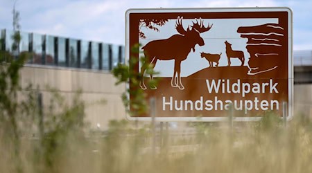 In Zeiten knapper Kassen ist das Erneuern der Schilder manchen Kommunen und Landkreisen zu teuer. (Archivbild) / Foto: Daniel Löb/dpa