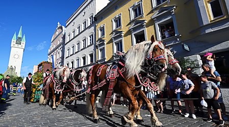 Eine traditionelle Pferdekutsche ist in Straubing in der Innenstadt unterwegs.  / Foto: Armin Weigel/dpa