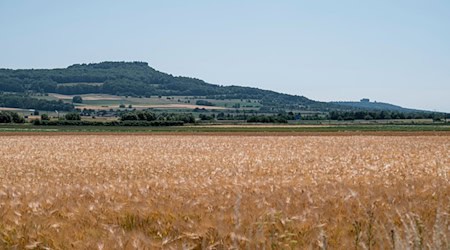 Der August war laut Daten des Landesamts für Umwelt vor allem in Nordbayern deutlich zu trocken. (Archivbild) / Foto: Daniel Vogl/dpa