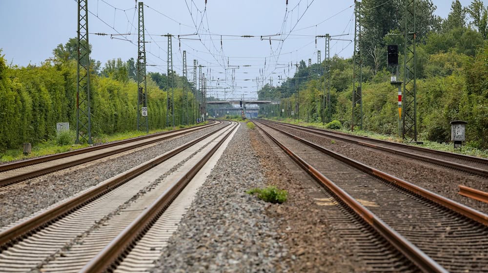 Der Lokführer des Regionalzugs leitete eine Notbremsung ein. (Symbolbild) / Foto: Christoph Reichwein/dpa