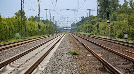 Der Lokführer des Regionalzugs leitete eine Notbremsung ein. (Symbolbild) / Foto: Christoph Reichwein/dpa