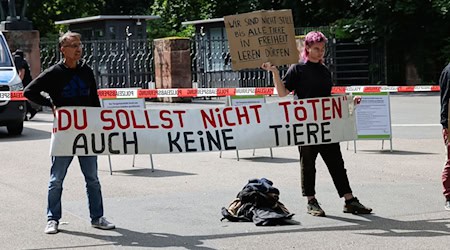 Schon seit Tagen gibt es Proteste vor dem Nürnberger Tiergarten. Nun soll ein Camp folgen. (Archivbild) / Foto: Daniel Löb/dpa