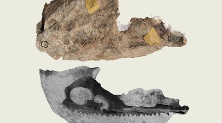 Oben der Steinbrocken, unten der CT-Scan des Steinbrockens. / Foto: ---/Bayerisches Landesamt für Umwelt/dpa