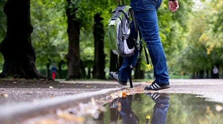 Während Juni und August sehr trocken waren, fiel vor allem im Juli viel Regen.  / Foto: Sven Hoppe/dpa