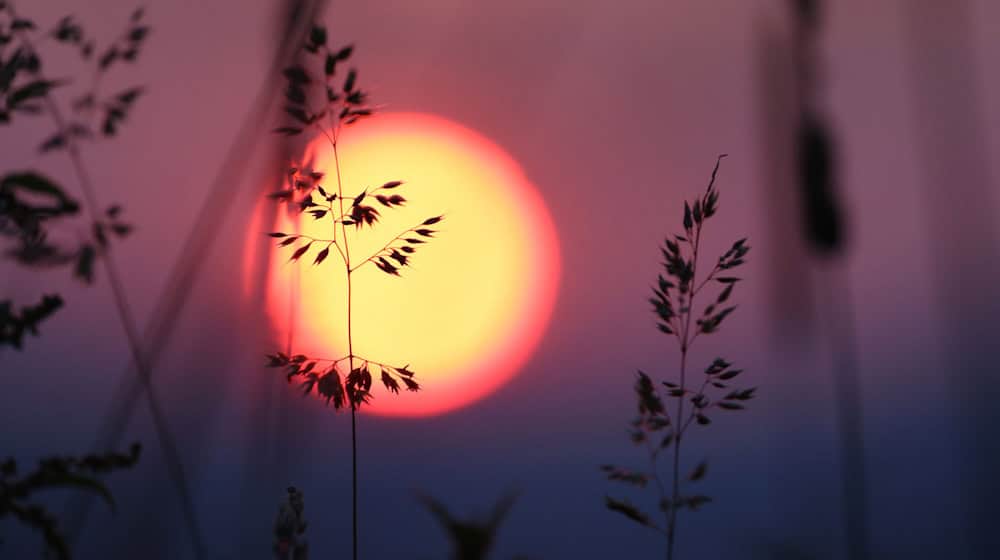 In den kommenden Tagen gibt es Sonne satt im Freistaat. / Foto: Karl-Josef Hildenbrand/dpa