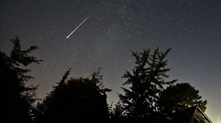 Sternschnuppen der Perseiden über einem nächtlichen Himmel. (Symbolbild) / Foto: Marco A. Ludwig/dpa