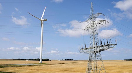Im Norden ist die Windstromproduktion in den vergangenen Jahren stark ausgebaut worden. (Symbolbild) / Foto: Frank Molter/dpa