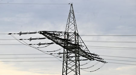 Kein Strom am frühen Morgen für Bewohner dreier Orte. (Symbolbild)  / Foto: Roberto Pfeil/dpa