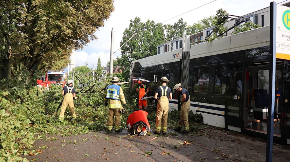 In Mannheim stürzte ein Baum auf eine Straßenbahn. / Foto: Rene Priebe/dpa