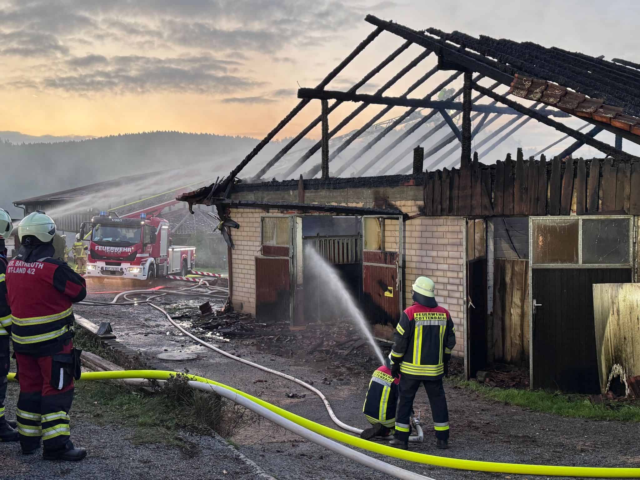 16 Pferde sterben bei Stallbrand – Schaden in Millionenhöhe