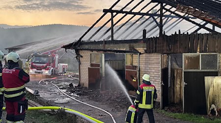 Rund 250 Einsatzkräfte waren vor Ort. / Foto: Stephan Fricke/News5/dpa