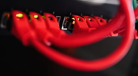 IT-Spezialisten müssen nun die sichergestellten Beweise auswerten. (Symbolbild) / Foto: Nicolas Armer/dpa