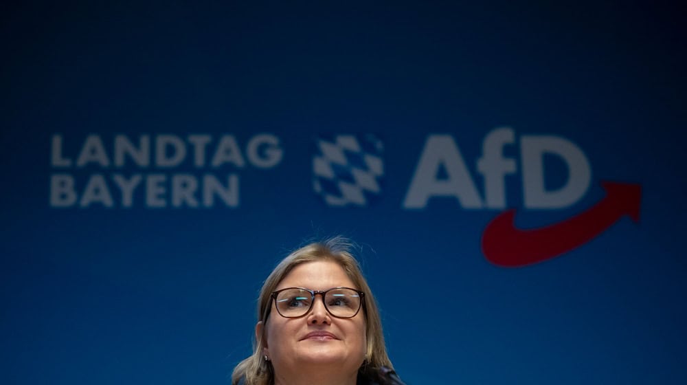 Die Landtags-AfD präsentiert nach ihrer Klausur ein ganzes Paket von Forderungen, insbesondere zum Thema Einbürgerungen. (Archivbild) / Foto: Peter Kneffel/dpa