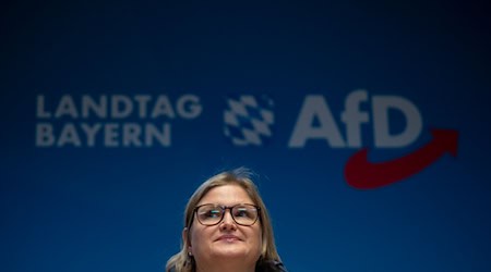 Die Landtags-AfD präsentiert nach ihrer Klausur ein ganzes Paket von Forderungen, insbesondere zum Thema Einbürgerungen. (Archivbild) / Foto: Peter Kneffel/dpa