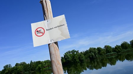 Wer im Rothsee badet, riskiert Durchfall und Ausschlag. (Archivbild)  / Foto: Uwe Zucchi/dpa