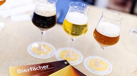 Die Sommeliers müssen die Biere blind auseinanderhalten können.  / Foto: Matthias Balk/dpa