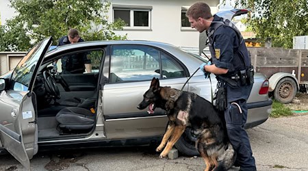 Ein Polizist durchsucht ein Fahrzeug mit einem Hund. / Foto: Nico Pointner/dpa