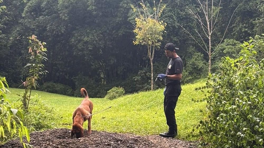 Die Ermittler entdeckten die Leichen mit Hilfe eines Spürhunds. (Archivbild) / Foto: ---/OIJ Costa Rica/dpa